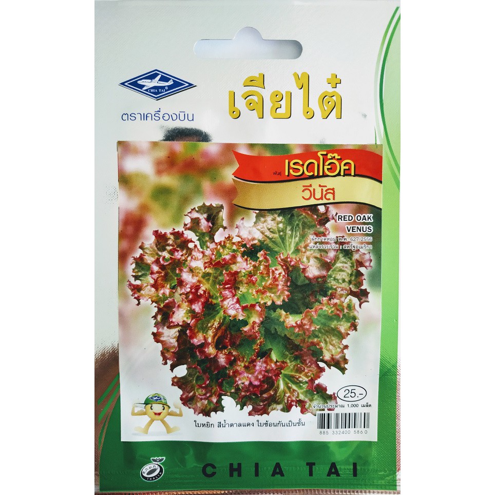 5 ฟรี 1 คละได้ เมล็ดพันธุ์ เรดโอ๊ค ตราเจียไต๋ เมล็ดพันธุ์คัดพิเศษ F1 เมล็ดพันธุ์ผัก เมล็ดผัก เมล็ดพันธุ์พืช เมล็ดพืช