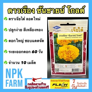 ผักซอง เจียไต๋ ดาวเรือง ซันชายน์ โกลด์ จำนวน 10 เมล็ด/ซอง เมล็ดพันธุ์ ลอตใหม่ ปลูกง่าย สีเหลืองทอง ดอกใหญ่ ชอบแดดจัด