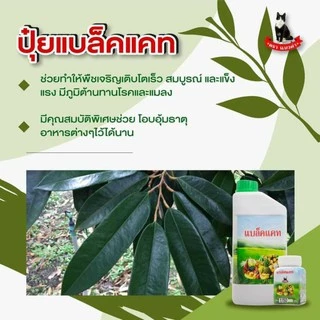 ปุ๋ยแบล็คแคท ปุ๋ยทางใบ ธาตุอาหารรอง ธาตุอาหารเสริม เสริมความสมบูรณ์ของต้น ฟื้นฟูต้นแบบเร่งด่วน