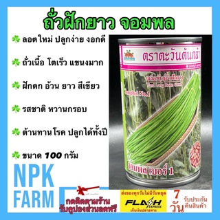 ถั่วฝักยาว จอมพล ขนาด 100 กรัม เมล็ดพันธุ์ ตะวันต้นกล้า ลอตใหม่ โตไว ถั่วเนื้อ ฝักสีเขียวอ่อน ฝักดก แข็งแรง ต้านทานโรค