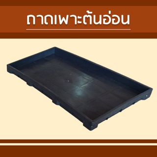 ถาดเพาะต้นกล้า(ทึบ) 1 มัด 10 อัน