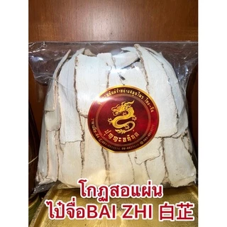 โกฐสอแผ่น ไป๋จื่อBAI ZHI 白芷 แปะจี้แผ่นหรือโกฏสอ โกฏสอแผ่น แปะจี้