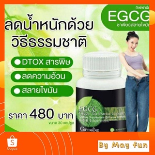 สารสกัดจากชาเขียว EGCG Green Tea กิฟฟารีน