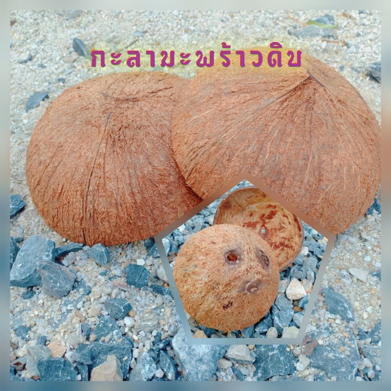 กะลามะพร้าว กะลาครึ่งซีก 📣ปริมาณ 1กิโลกรัม