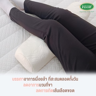 Ventry Chickapu Pillow/หมอนรองขา เบาะรองขา /หมอนสปา/หมอนอเนกประสงค์/หมอนเส้นเลือดขอด ลายปลอกอาจเปลี่ยนแปลงได้