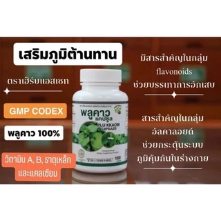 🌿พลูคาว 100 แคปซูล🌿ผลิตโรงงานมาตรฐาน GMP สินค้าพร้อมส่ง