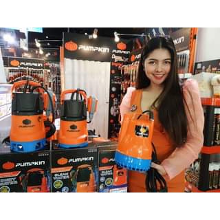 50244 / PTT-WTP250DW เเช่ดูดน้ำสกปรก 250W PUMPKIN สินค้าเเท้รับประกันจากผู้เเทนจำหน่าย