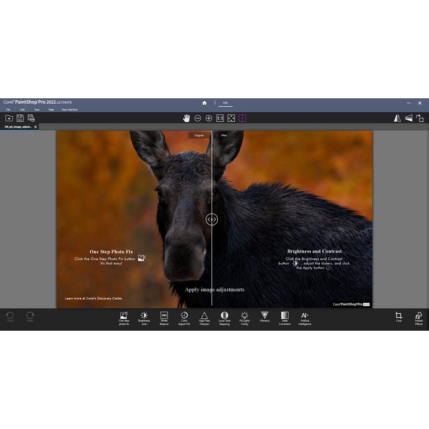 Corel Pro 2022 Ultimate [ตัวเต็ม] [ถาวร] โปรแกรมแต่งรูป