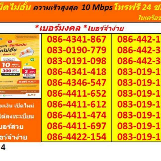 ซิมเติมเงิน MY CAT เบอร์สวยจำง่าย