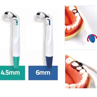 【ddydental】แหวนสเตนเลส ปรับได้ สูงสุด 4.5 มม. 10 ชิ้น 5 ชิ้น