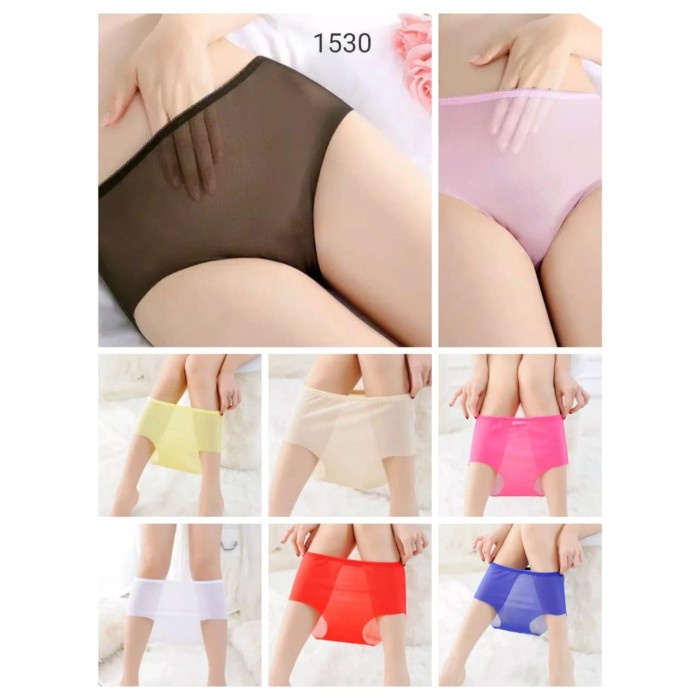 TRANSPARANT POWERNET UNDERWEAR CD 1530 IO2 - - ชุดชั้นใน TRANSPARKANT POWERNET คุณภาพดีที่สุด