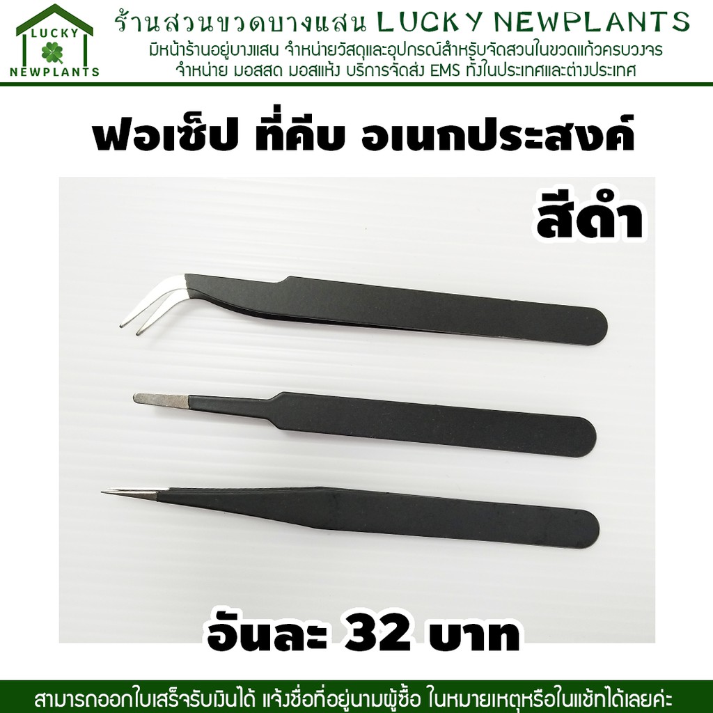 แหนบ ที่คีบสแตนเลส ฟอเซ็ปปากคีบ อันละ 32 บาท