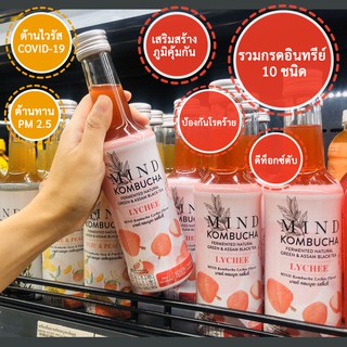 (แบบ 12 ขวด) Mind Kombucha คอมบูชะ ชาหมักเพื่อสุขภาพ บำรุงร่างกาย