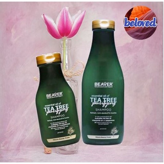 Beaver Tea Tree Purifying Shampoo 350/730 ml แชมพู ขจัดรังแค ความมันบนหนังศีรษะ และกลิ่นอับ