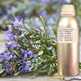 หัวน้ำหอมกลิ่นโรสแมรี่ ROSEMARY  30ml.  รหัสสินค้า : 002902