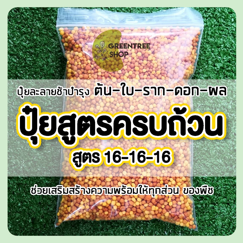 ปุ๋ย ปุ๋ยสูตรครบถ้วน 16-16-16 บำรุงครบทุกส่วน ปุ๋ยละลายช้า ปุ๋ยสูตรเสมอ สำหรับไม้ประดับทุกชนิด