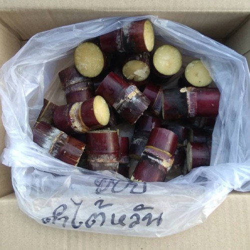 อ้อยดำไต้หวันอ้อยคั้นน้ำและกินสดหวานกรอบอร่อย(25 ข้อตา 200บาท)