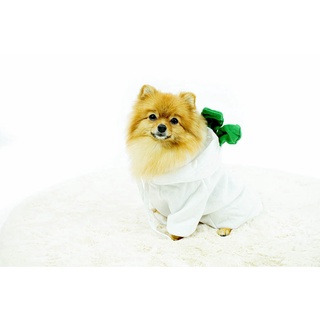 Pet radish clothing ชุดสัตว์เลี้ยง ลายหัวไชเถ้า