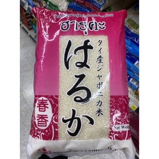 ฮารุคะ ข้าวญี่ปุ่น พันธุ์ดี ปลูกในประเทศไทย 2 Kg. Japonica Rice