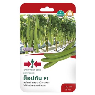 [พร้อมส่ง] HomeDoDee เมล็ดพันธุ์มะเขือยาวสีเขียว F1 ท็อปกัน เมล็ด เมล็ดพันธุ์ เมล็ดพันธุ์พืช