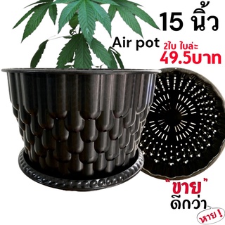 กระถางเร่งราก Air por 15 นิ้ว สีดำ สีขาว