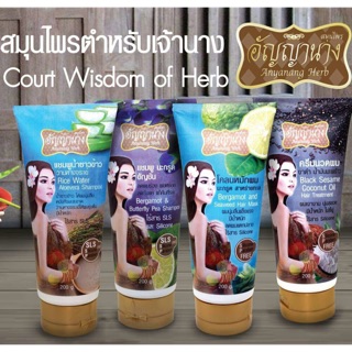 🎉#อัญญานางแชมพู ครีมนวดผมและโคลนหมักผม
