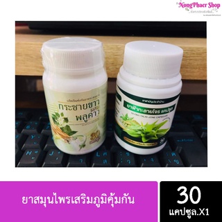 ยาสมุนไพรเสริมภูมิคุ้มกัน 100% ( ราคา 1 ชิ้น)