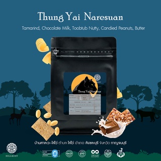 Hillkoff : Thung Yai Narasuan Robusta Specialty Roasted เมล็ดกาแฟคั่ว กาแฟ โรบัสต้าแท้ 100% สเปเชียลตี้ ทุ่งใหญ่นเรศวร