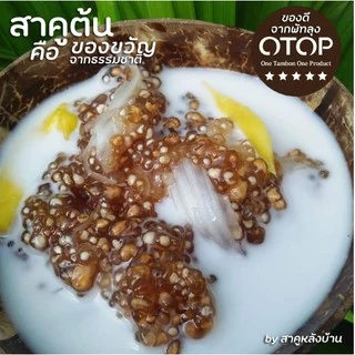 ขนาด 1 กิโล เม็ดสาคูแท้ 100% จากต้นสาคูธรรมชาติ | ออร์แกนิค |คัดเกรด | ของดีจากเมืองพัทลุง