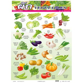 โปสเตอร์ผัก(Vegetables)  #PV044 โปสเตอร์สื่อการเรียนการสอน