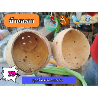 บ้านนก บ้านชูการ์ บ้านกะลาสำหรับสัตว์เลี้ยง ลดราคา 55 บาท สุดคุ้มราคาประหยัด แขวนกรงได้