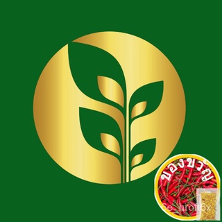 Hot Pepper Green Seeds | Golden Quality母婴/苹果/男装/通心菜/上衣/生菜/香菜/园艺/手链/裙子/ PCZQ