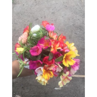 คุณนายตื่นสายตัดสดคละสีสวยๆ17สี