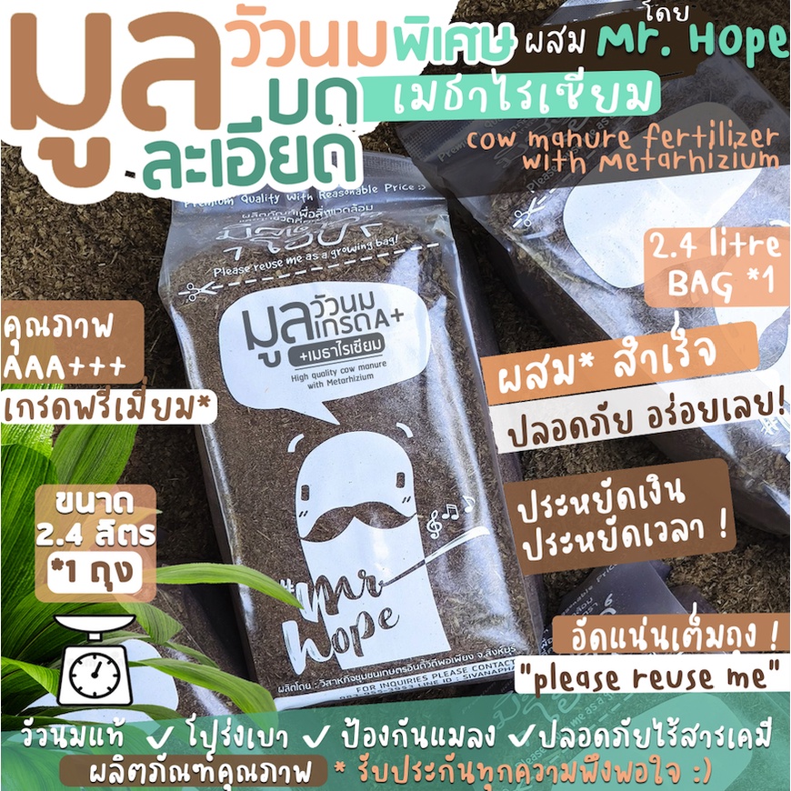 มูลวัวนม บดละเอียด พิเศษ ผสมเมธาไรเซียม High quality cow manure + Metarhizium ปุ๋ยคอก ปุ๋ยอินทรีย์ วัสดุปลูก ออร์แกนิค