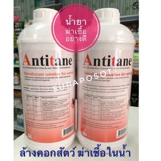 Antitane น้ำยาฆ่าเชื้อ ล้างคอกสัตว์ ฆ่าเชื้อในน้ำ เตรียมน้ำในบ่อก่อนการเพาะพันธุ์สัตว์น้ำ