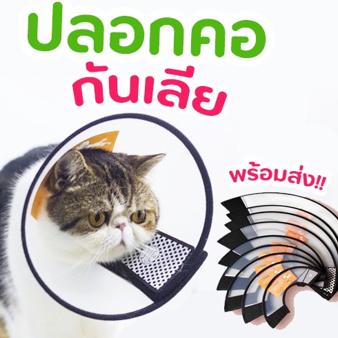 คอลล่า ปลอกคอกันเลีย สำหรับสุนัขและแมว ไม่บาดผิว กันกัด กันเลียแผล ติดง่าย ไม่ติดขน น้ำหนักเบา