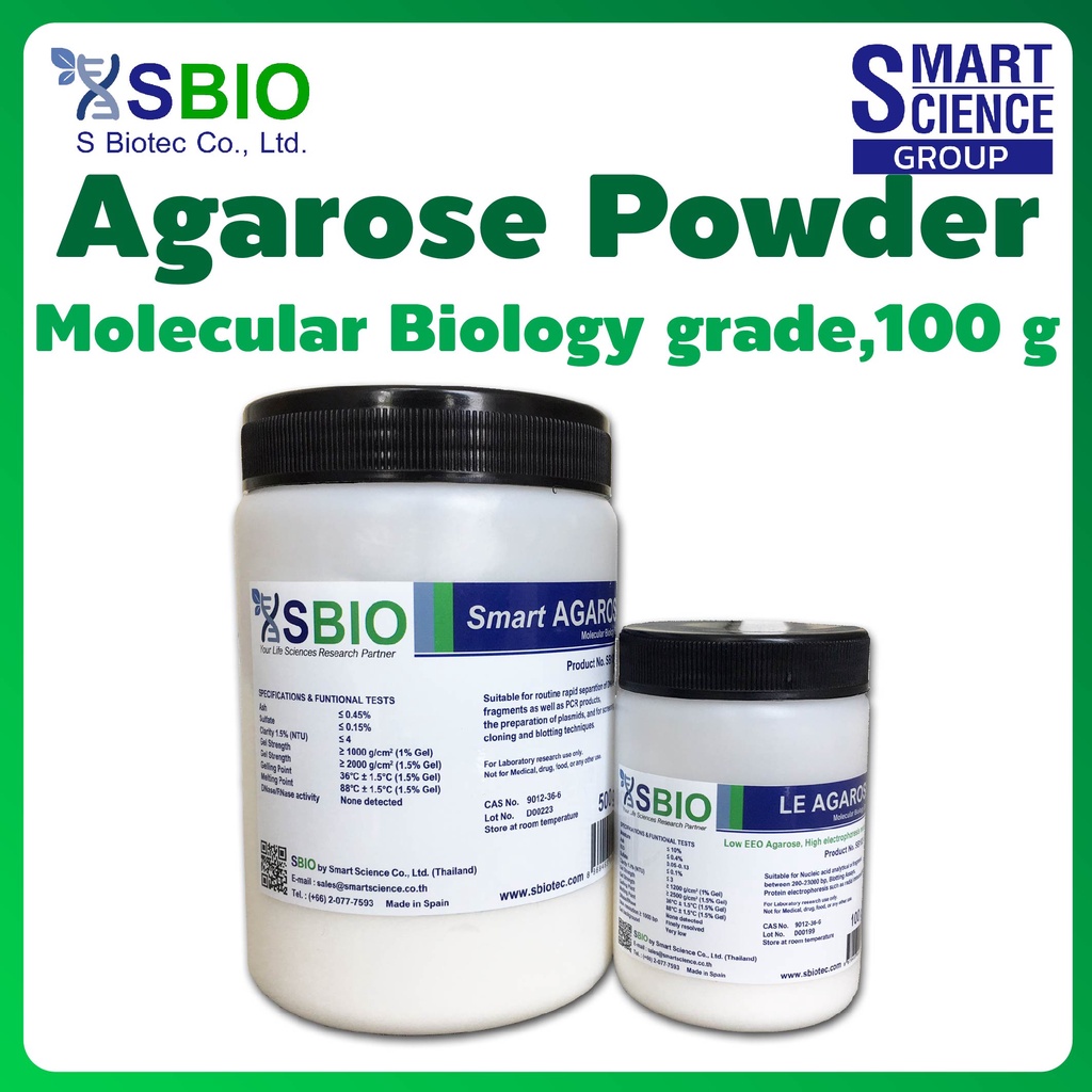 SBIO Smart Agarose Powder Molecular Biology Grade DNA RNA fragments 250 bp - 23 Kb ปริมาณ 100 และ 50