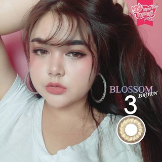 Kitty Kawaii Contact Lens คอนแทคเลนส์ สีน้ำตาล ค่าสายตา รุ่น Blossom Brown