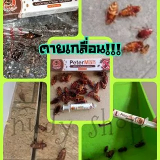 📌100 เดียวตายยกรัง📌 เจลกำจัดแมลงสาบ ปีเตอร์แมน peter man กับดักแมลงสาบ กำจัดแมลงสาบ เจลแมลงสาบ ยาฆ่าแมลงสาบ