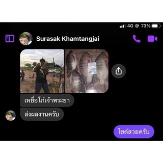 เหยื่อพร้อมตก ชุดเหยื่อตกปลาพร้อมตก #เหยื่อโก๋เจ้าพระยา