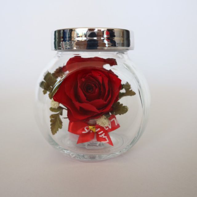 My Image 4