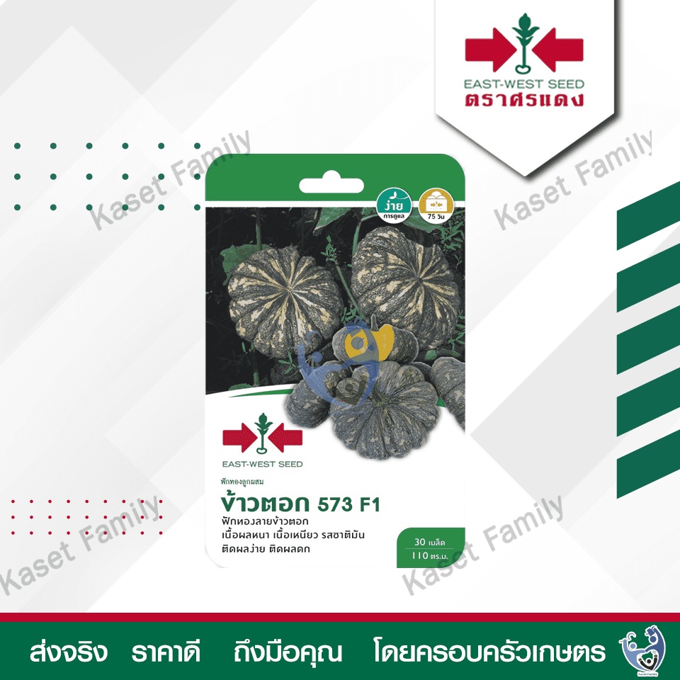 ผักซอง ฟักทอง ข้าวตอก 573 25 เมล็ด เมล็ดฟักทอง ตราศรแดง