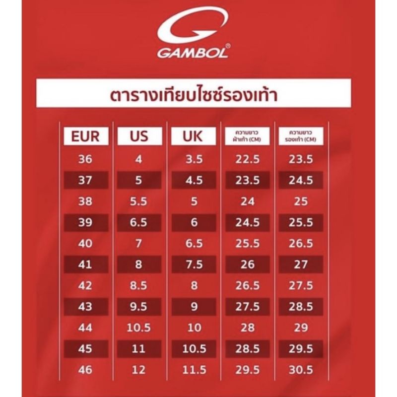 รูปภาพ 8