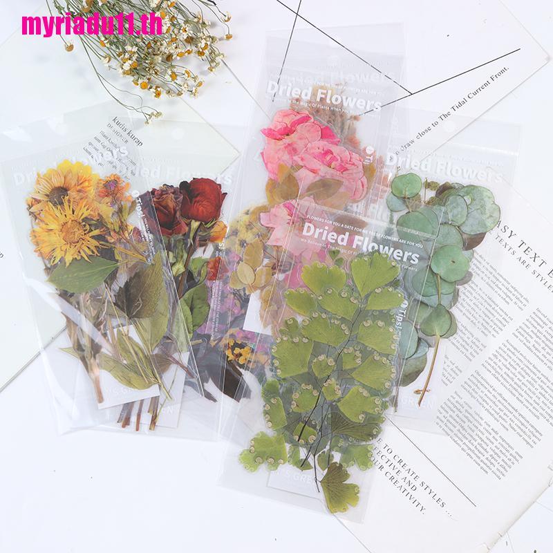 Mrth6SheetsBag Plants Flower Sticker Diary Scrapbooking Label Sticker ...
