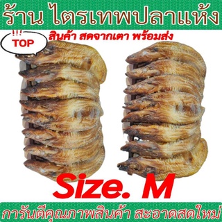 ปลาเนื้ออ่อนย่าง size. M