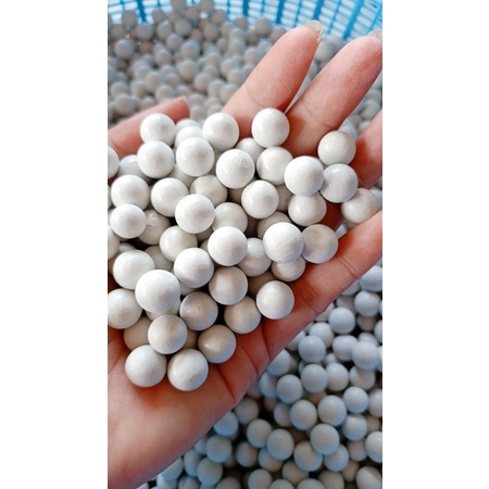 ลูกหนังสติ๊ก 11 มิล (0.5kg.)