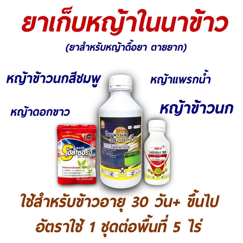 โพรพานิล + โฟนิฟอส + เอสซอร์บ ยาคุม-ฆ่า เก็บหญ้า เกลี้ยงนา หญ้าข้าวนกดื้อยา 1 ชุด5 ไร่ ใช้ช่วง30-40 วัน