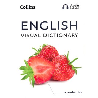 English Visual Dictionary