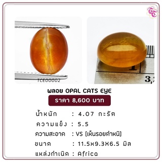 พลอยโอปอแคทอาย Opal Cats Eye ขนาด 11.5X9.3X6.5 มม. พลอยแท้ มีใบรับรอง