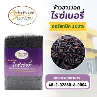 ข้าวฮางงอกงอกไรซ์เบอรี่ ออร์แกนิคแท้ สินค้ามี อย. และผลิตโดยโรงงานที่ได้มาตรฐาน ข้าวใหม่เก็บได้นาน น้ำหนัก 1 กิโลกรัม